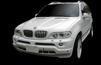 Zdjęcie modelu BMW X5 E53 32