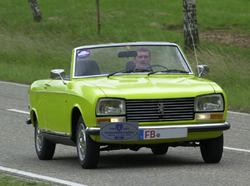 Zdjęcie modelu Peugeot 304 12